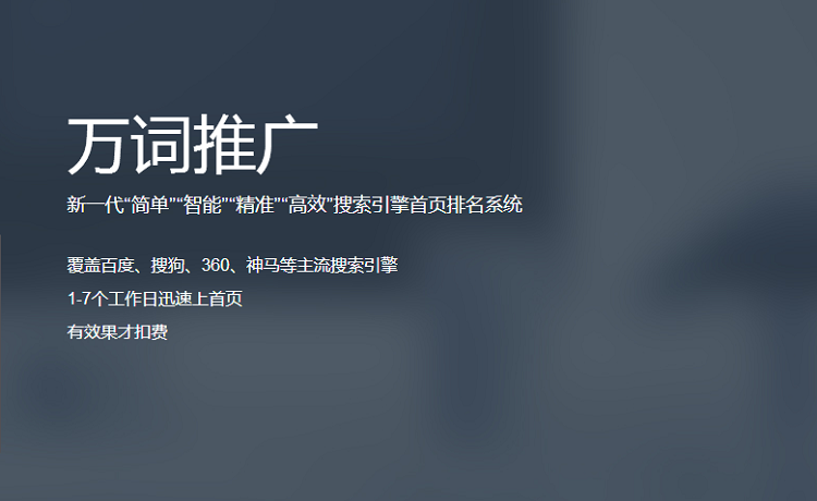 百度快排/关键词霸屏